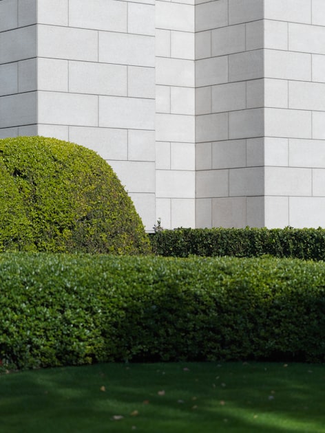 Irrigation Tips for Your Landscape