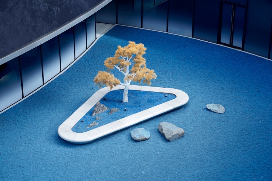 Creating a Desert Oasis